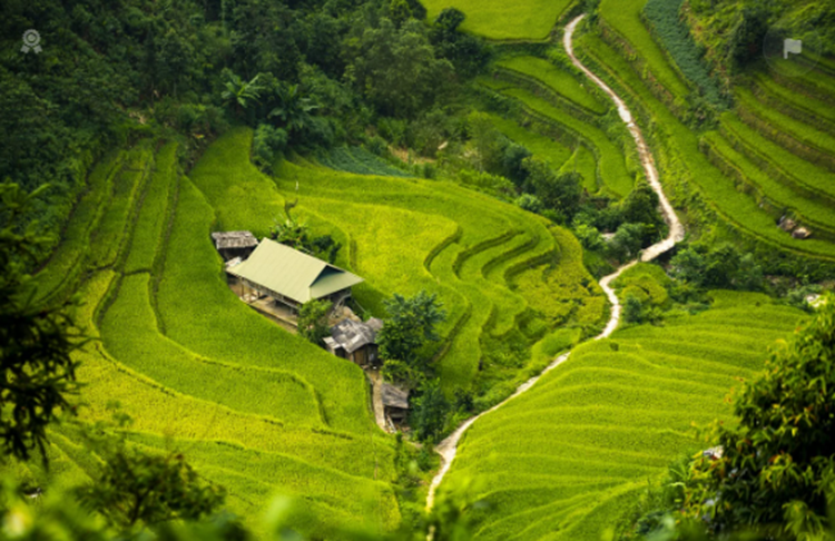 10 Tempat Makan dengan Pemandangan Sawah di Jogja yang Wajib Dikunjungi