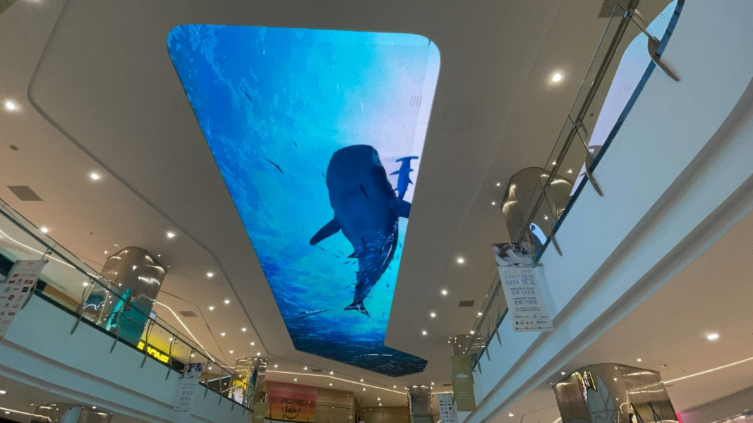 Nggak Perlu Jauh-jauh ke Dubai, di Semarang Ada Mall dengan Akuarium Ikan Paus dan Hiu yang Bisa Bikin Anak Anteng
