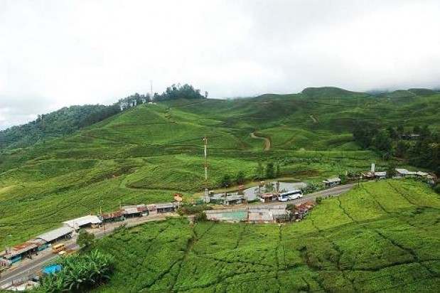 5 Tempat Wisata di Puncak Bogor untuk Libur Tahun Baru Pastikan Kamu ke Sini Ya!